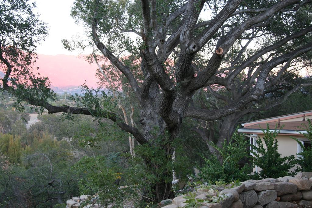 Bed & Breakfast Retreat & 3*